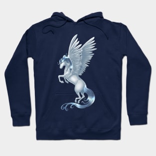 Pegasus 11 Hoodie